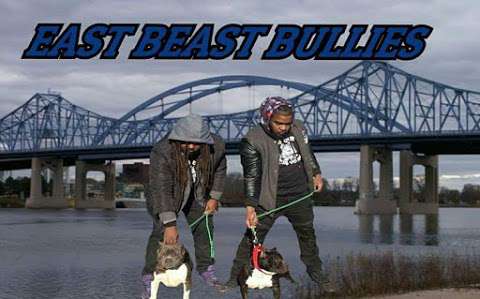 East beast Bully Kennel
